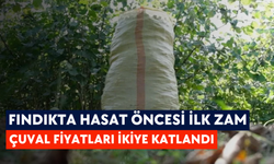 Fındıkta hasat öncesi ilk zam: Çuval fiyatları ikiye katlandı
