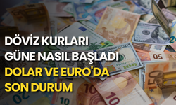 Döviz kurları güne nasıl başladı: Dolar ve euro'da son durum