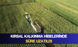 Kırsal kalkınma hibelerinde süre uzatıldı