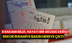 6 rakamı bildi, hayatı bir gecede değişti: Rekor ikramiye bakın nereye çıktı
