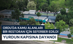 Ordu'da kamu alanları bir restoran için seferber edildi: Yurdun kapısına dayandı