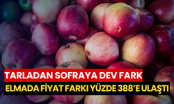 Tarladan sofraya dev fark: Elmada fiyat farkı yüzde 388’e ulaştı