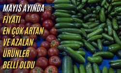Mayıs ayında fiyatı en çok artan ve azalan ürünler belli oldu