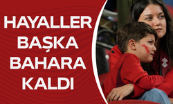 Hayaller başka bahara kaldı