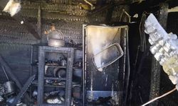Ankara'da ormanlık alanda çıkan yangında 2 bağ evi kullanılamaz hale geldi