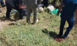 Tokat'ta otomobille çarpışan traktör şarampole devrildi: 1 ölü
