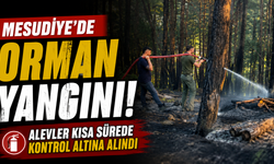Mesudiye'de orman yangını! Alevler kısa sürede kontrol altına alındı