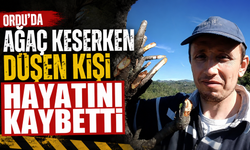 Ordu'da ağaç keserken düşen kişi hayatını kaybetti