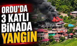 Ordu’da 3 katlı binada yangın