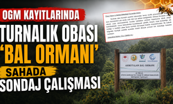 Turnalık Obası OGM kayıtlarında 'Bal Ormanı', sahada sondaj çalışması