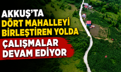 Akkuş'ta dört mahalleyi birleştiren yolda çalışmalar devam ediyor