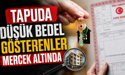 Tapuda düşük bedel gösterenler mercek altında