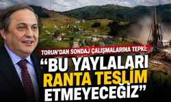 Torun'dan sondaj çalışmalarına tepki: "Bu yaylaları ranta teslim etmeyeceğiz"