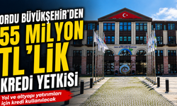 Ordu Büyükşehir'den 55 milyon TL'lik kredi yetkisi