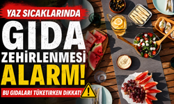 Yaz sıcaklarında gıda zehirlenmesi alarmı: Bu gıdaları tüketirken dikkat!