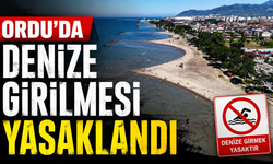 Ordu'da denize girilmesi yasaklandı