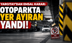 Yargıtay'dan emsal karar: Otoparkta yer ayıran yandı!