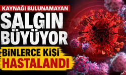 Kaynağı bulunamayan salgın büyüyor: Binlerce kişi hastalandı
