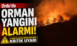 Ordu'da orman yangını alarmı: İl Tarım ve Orman Müdürlüğü'nden kritik uyarı