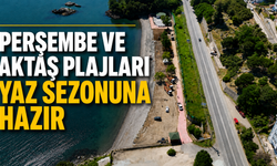Perşembe ve Aktaş plajları yaz sezonuna hazır
