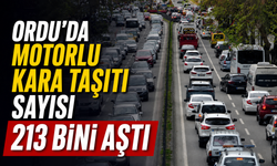 Ordu'da motorlu kara taşıtı sayısı 213 bini aştı
