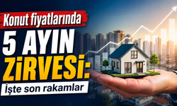 Konut fiyatlarında 5 ayın zirvesi: İşte son rakamlar