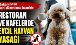 Bakanlıktan yeni düzenleme hazırlığı: Restoran ve kafelerde evcil hayvan yasağı