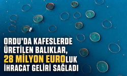 Ordu'da kafeslerde üretilen balıklar, 28 milyon euroluk ihracat geliri sağladı