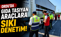 Ordu'da gıda taşıyan araçlara sıkı denetim: Ünye ve Fatsa'da yol kontrolleri yapıldı