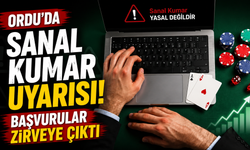 Ordu'da sanal kumar uyarısı: Başvurular zirveye çıktı