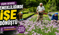 Çiçek sevgisi emekliliğinde işe dönüştü