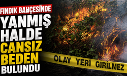 Fındık bahçesinde yanmış halde cansız beden bulundu