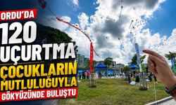 Ordu'da 120 uçurtma çocukların mutluluğuyla gökyüzünde buluştu