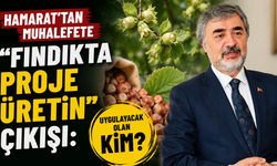 Hamarat'tan muhalefete "Fındıkta proje üretin" çıkışı: Uygulayacak olan kim?