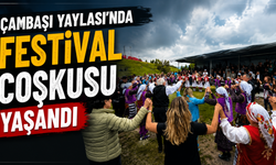 Çambaşı Yaylası'nda festival coşkusu yaşandı