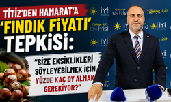 Titiz'den Hamarat'a 'fındık fiyatı' tepkisi: “Size eksiklikleri söyleyebilmek için yüzde kaç oy almak gerekiyor?”