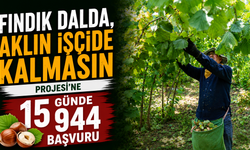 Fındık Dalda, Aklın İşçide Kalmasın Projesi'ne 15 günde 944 başvuru