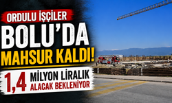 Ordulu işçiler Bolu'da mahsur kaldı: 1,4 milyon liralık alacak bekleniyor