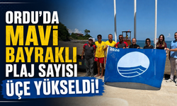 Ordu'da mavi bayraklı plaj sayısı üçe yükseldi