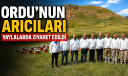 Ordu'nun arıcıları yaylalarda ziyaret edildi