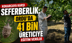 Kokarcaya karşı seferberlik: Ordu'da 41 bin üreticiye eğitim verildi