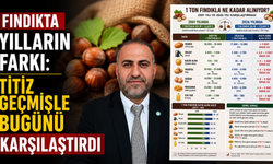 Fındıkta yılların farkı: Titiz geçmişle bugünü karşılaştırdı