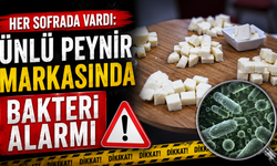 Her sofrada vardı: Ünlü peynir markasında bakteri alarmı