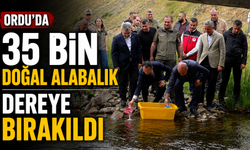 Ordu'da 35 bin doğal alabalık dereye bırakıldı