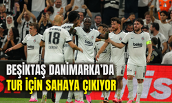 Beşiktaş, Danimarka'da tur için sahaya çıkıyor