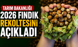 Tarım Bakanlığı 2026 fındık rekoltesini açıkladı