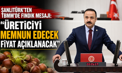 Şanlıtürk'ten TBMM'de fındık mesajı: "Üreticiyi memnun edecek fiyat açıklanacak"