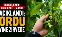 İhracatçıların fındık rekolte tahmini açıklandı: Ordu yine zirvede