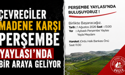 Çevreciler madene karşı Perşembe Yaylası'nda bir araya geliyor
