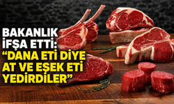 Bakanlık ifşa etti: "Dana eti diye at ve eşek eti yedirdiler”